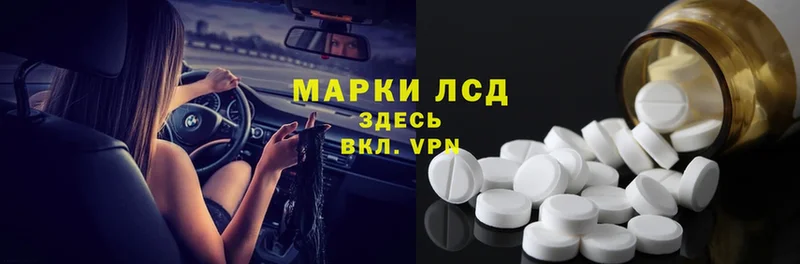 дарк нет клад  Туринск  ЛСД экстази ecstasy 